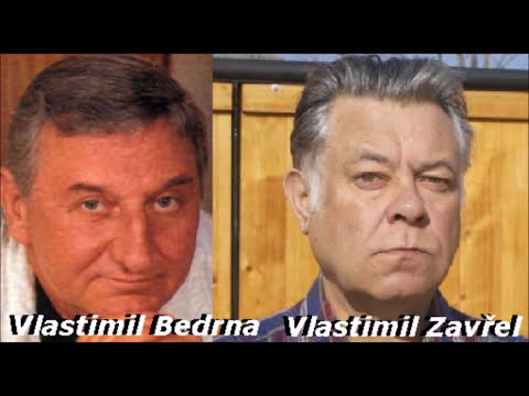 Simpsonovi (Vlastimil Zavřel VS Vlastimil Bedrna) #1  [Dabing-Homer Simpson]