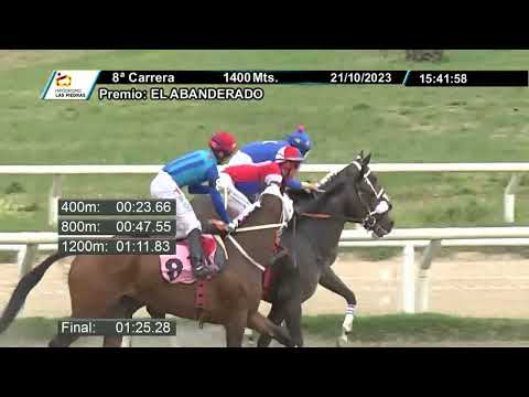 231021 C 08 - DOG BRIDE - HIPODROMO LAS PIEDRAS