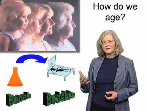 Elizabeth Blackburn (UCSF) Part 3: Stress, Telomeres and Telomerase in Humans