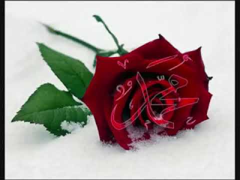 ya muhammed ey can ahmet