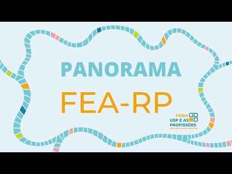 Panorama FEA-RP