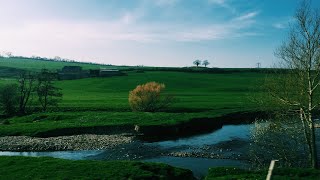 som de gua pra a calmar