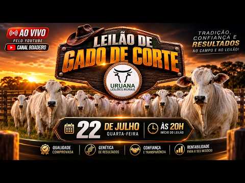 Leilão de Gado -  Uruana Leilões - Leilão de Gado de Corte em Goiás @canal.boiadeiro #live #gado
