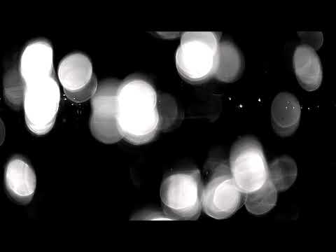 RCH Pinguuins H3 - Amsterdam Capitals H1