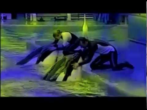 Happy Birthday Kalina :)