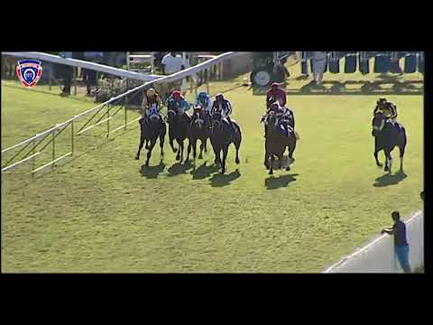 RM21 R5 | Bad Attitude | M.Nunes