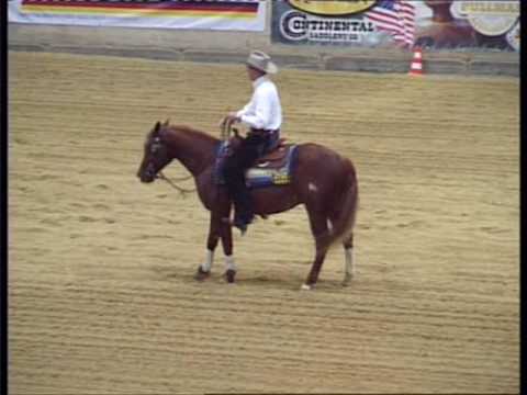 Morey Fisk - Dual Tuck Tari