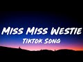 North West Miss Miss Westie Lyrics Talking You Don T Want No Problems You Just Tiktok Song