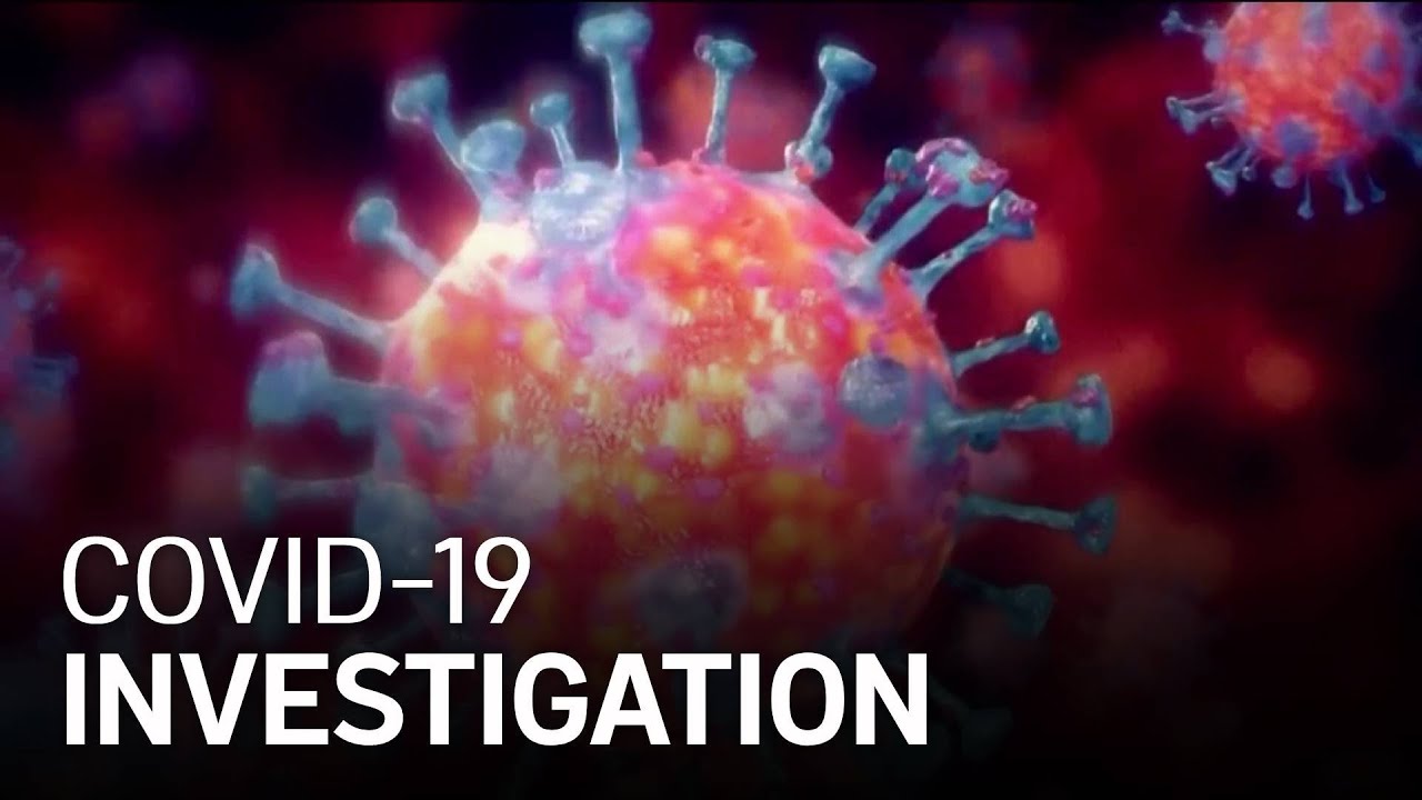 Scientists Call for Investigation Into COVID-19 Origin