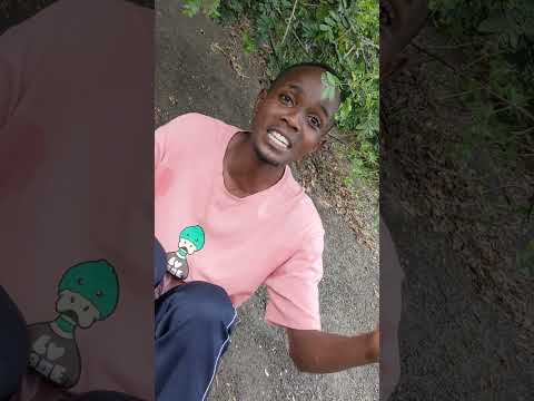 Freestyle session 2 @lil pro💥💥💥