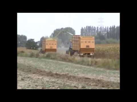 Van Bruwaene RWK.: Mais hakselen.