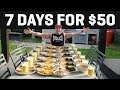 $50 FOR A FULL WEEK OF BULKING + VLOG!