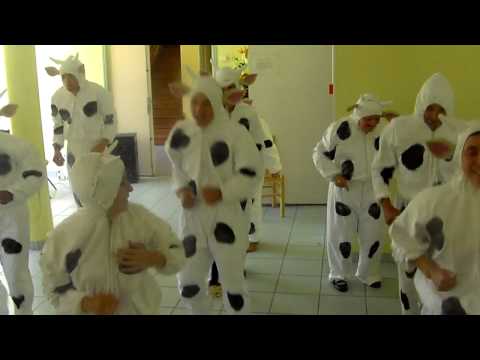 la vache elle est barjo