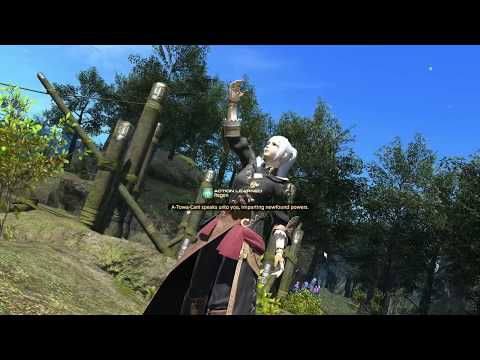 FFXIV : WHM Lv35 Only You Can Prevent Forest Ire