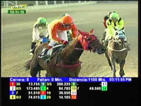 Resumen Sábado, 14 de Noviembre de 2015 - La Rinconada