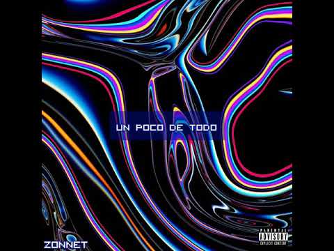 Zonnet - Fake World [Audio Oficial]