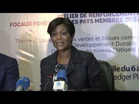 CONGO FONDS BLEU POUR LE BASSIN DU CONGO IMPLICATION ET ENGAGEMENT DES POINTS FOCAUX SOLLICITES PASC Video