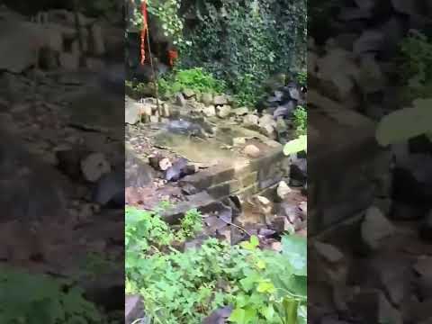 Ajit Singh Har Har Shambhu