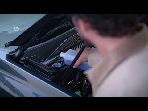 Dacia Bigster - Niveles de los líquidos