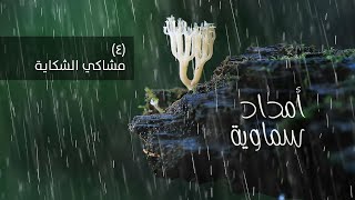 #أمداد_سماوية - (4) مشاكي الشكاية image