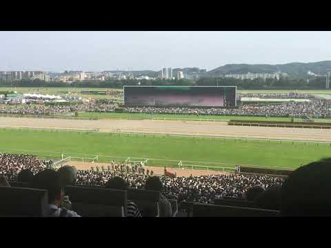 2018 日本ダービー