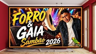 FORRÓ & GAIA -NÃO SOU DAQUI- #mariolenner (-RodaDeSamba-)