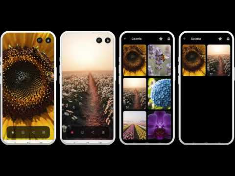 Flower Pictures