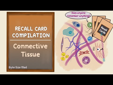Connective Tissue Recall Card Compilation | Histology | Byte Size Med Recall Cards