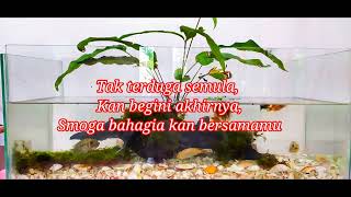 Download lagu Black Sweet – Akhir Sebuah Kisah Cover Lonny - Lagu Asyik Yang Menemani Perjalanan. mp3