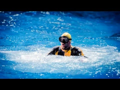 Remigijus Žiogas - "Delfinai ir Žvaigždės" - Pakalikų šou