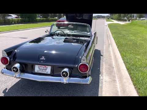 1955 Ford Thunderbird (CC-1522081) for sale in Winter Garden, Florida