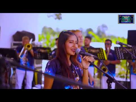mix de orquesta Bailables de amanecida  levanta  polvo  viejitas pero buenas