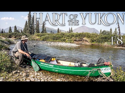 Hart of the YUKON - 14 Days Solo Camping in the Yukon Wilderness - E.8 - Magical Fly Fishing Hole