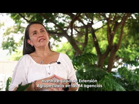 Optimizar para producir mejor: la experiencia ganadera de Mirta y Eduardo en Guacimo, Limón