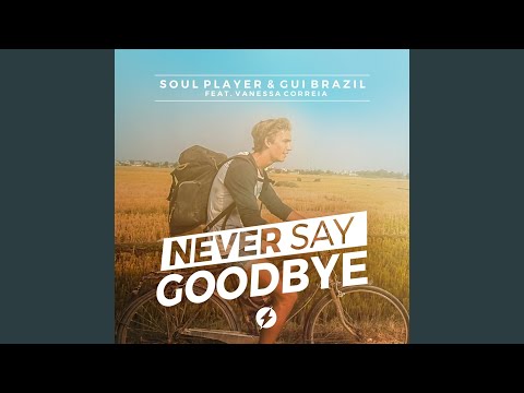 Never Say Goodbye (feat. Vanessa Correia)