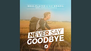 Never Say Goodbye (feat. Vanessa Correia)