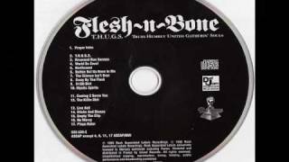 Flesh n Bone - The Silence Isn&#39;t Over