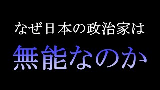 現代の政治家に求められるものは何か？｜外国人参政権について思うこと