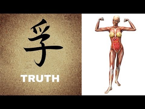 Die hässliche Wahrheit über Muskelaufbau | Muskelverlust unvermeidbar!? www.michaelcoenen.online