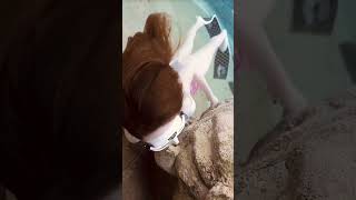 ngày 2 tháng 10, 2024