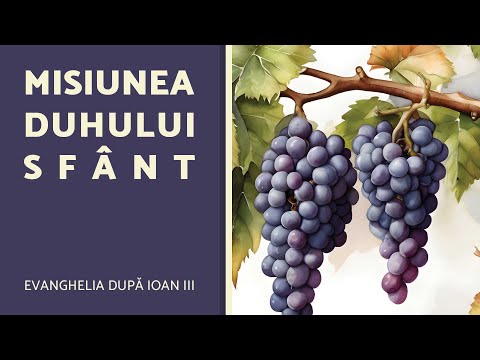 Misiunea Duhului Sfânt - Școala de Sabat - AZSMR-Bucov LIVE