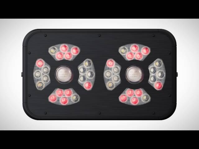 Video Teaser für Hazelbeam LED by Hazelbox