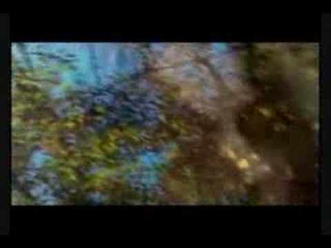 Sediq Yakub - Anar Anar