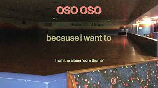 because i want to Music Video