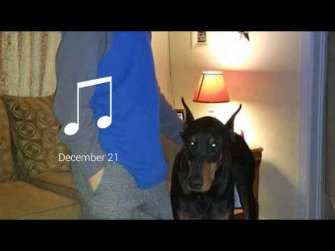 Happy birthday breiton mackey