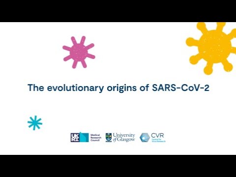 Evolutionary Origins of SARS-CoV-2