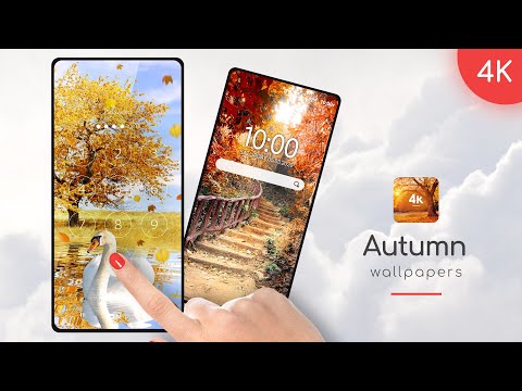 Autumn Wallpapers in 4K