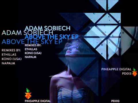 PD013 Adam Sobiech   Above The Sky (Ethillas Remix)