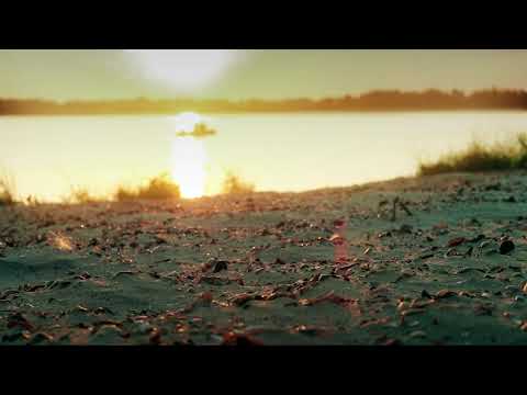 WUERSKI -  SYNTEZA (prod.FIDSER)