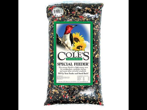 Exploring Cole's Seed Products: A Comprehensive Review